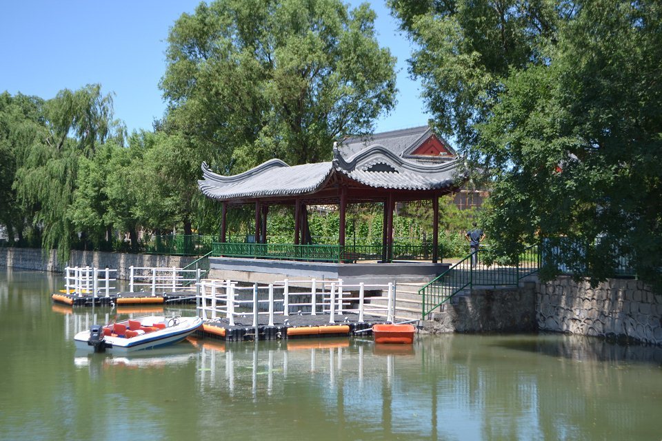 ������-רҵ������Ʒ�뽡������