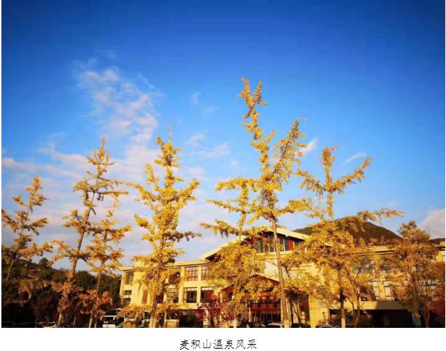 金贝体育-专业体育用品与健身器材