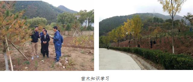 金贝体育-专业体育用品与健身器材