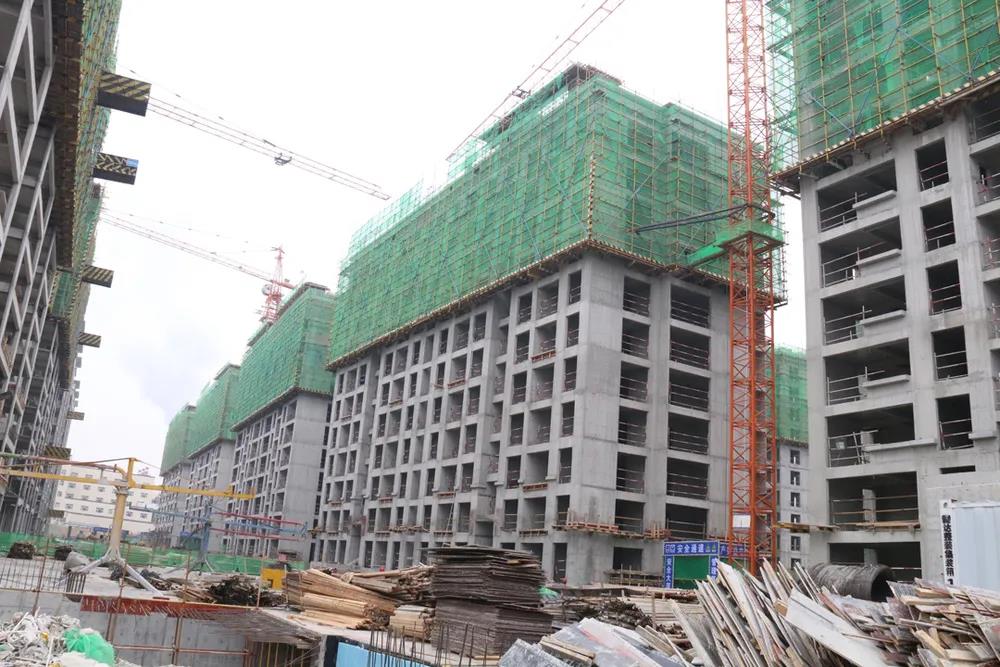 ������-רҵ������Ʒ�뽡������