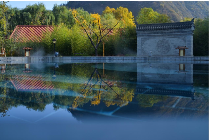 ������-רҵ������Ʒ�뽡������